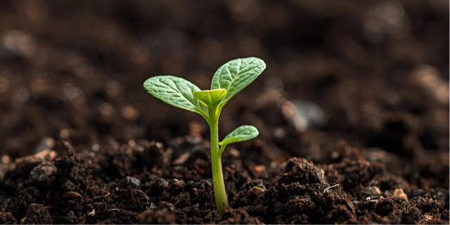 まずはこちらから