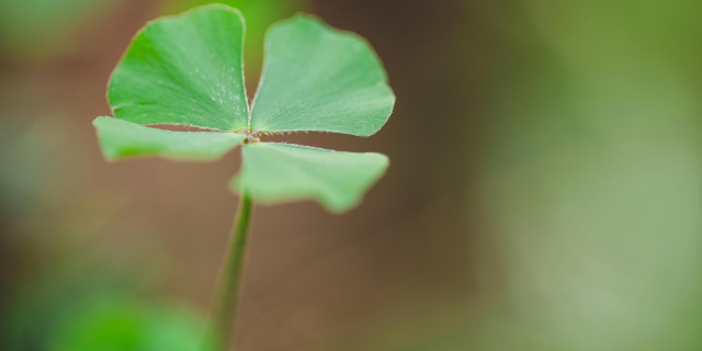 Soilメソッドの核心